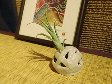 上野敬子 花器とエアプランツ ARTCUBE SHOP
